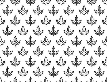 Flower geometric pattern. Seamless background. White and black ornamentの写真素材