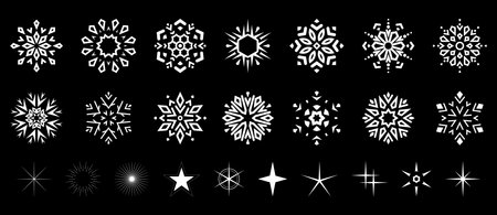 Snowflakes icon collection. Graphic modern black and white ornament.のイラスト素材