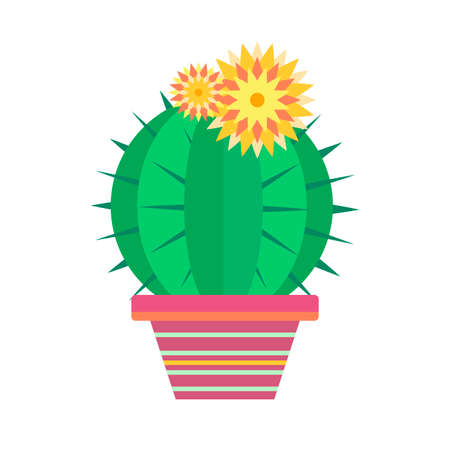 Potted plant in a flat style on a white background.のイラスト素材