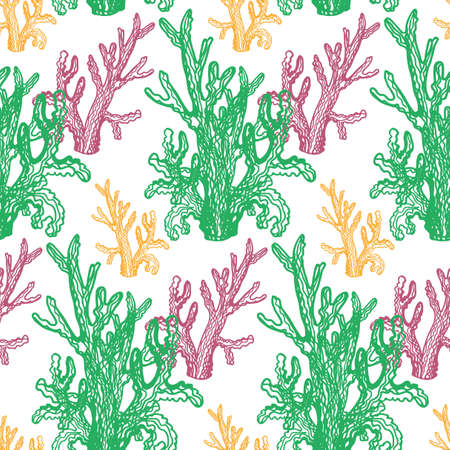 The marine theme.のイラスト素材