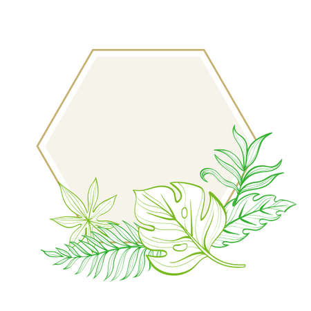 Frame with tropical leaves. Postcard. Hand-drawn illustration. Line drawingのイラスト素材