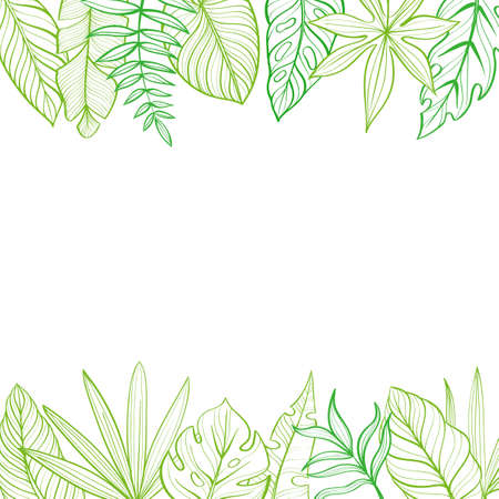 Frame with tropical leaves. Postcard. Hand-drawn illustration. Line drawingのイラスト素材