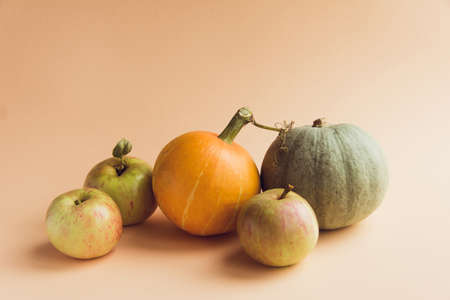 Composition of pumpkin on a beige background. The concept of thanksgiving and Halloween and autumnの写真素材