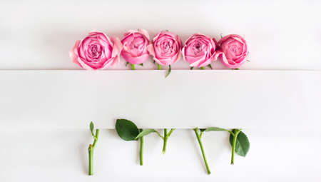 Flowers composition pink flowers on white background card for text Flat lay, top view, copy spaceの写真素材