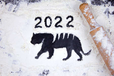 Flour on a dark background and silhouette of a tiger, new year 2022