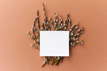 Easter willow twigs with buds on a light brown background. Happy Easter, spring, spring awakening, copy space, flat lay, top viewの写真素材