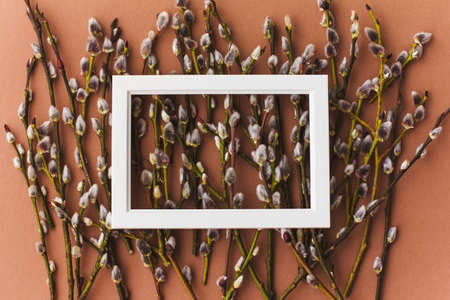 Easter willow twigs with buds on a light brown background. Happy Easter, spring, spring awakening,...