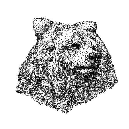 Bear sketch style. Hand drawn illustration of beautiful black and white animal. Line art drawing in vintage style. Realistic image.のイラスト素材