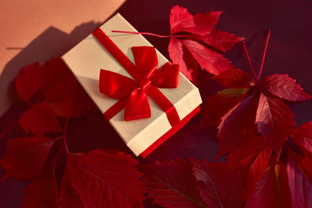 Christmas box with red ribbon and red autumn leavesの写真素材