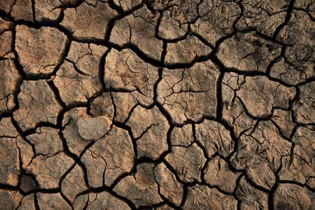 Soil cracked background. Earth in dry season