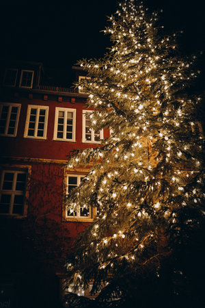Holiday decorations in Europian Christmas marketの写真素材