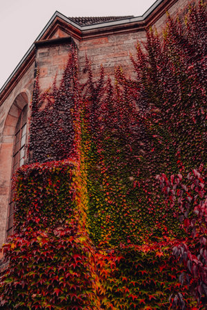 Wonderful countryside with trees in colorful foliage and grassy meadows.の写真素材