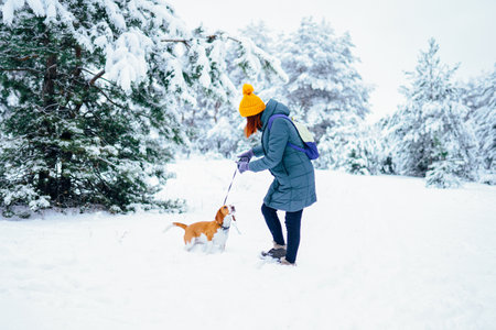 Young woman playing with her beagle dog in snowy winter forestの写真素材
