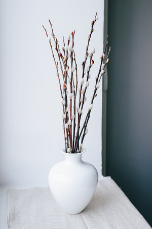 Minimalist Arrangement of Pussy Willow Twigs in a White Ceramic Vaseの写真素材