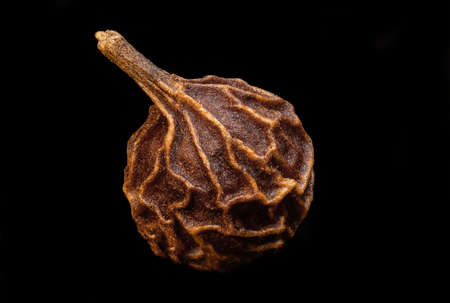 super macro frame kubeba (cubeba) peppercorns one large isolated on black backgroundの写真素材