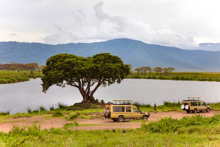 beautiful African mountain landscape. Lake, big tree, safari jeeps. Ngorongoro National Parkの写真素材
