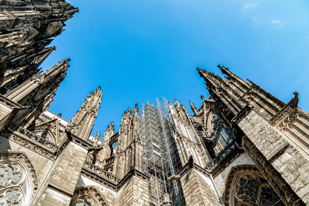 Cologne, Germany, 22 Febuary , 2019. view of the Cologne Cathedral and the tree without leaves from an unusual angle in winter at sunny dayのeditorial素材