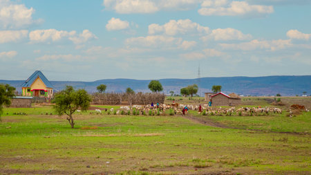 Arusha, Tanzania, Africa. February 04, 2022.life in the African village. African and travel conceptのeditorial素材