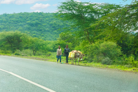 Arusha, Tanzania, Africa. February 04, 2022.life in the African village. African and travel concept. two girls and donkeyの写真素材