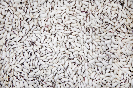 Top view full frame background of healthy dried uncooked white bean seeds. Vegetarian and nutrition...