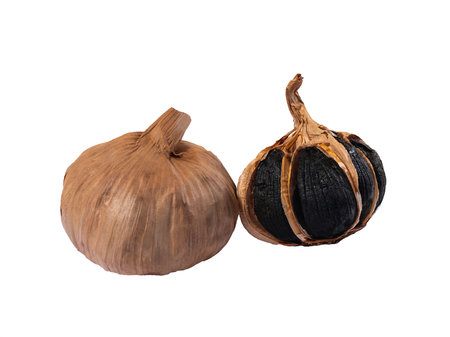 Two whole destroyed black fermented garlic bulb isolated on white background closeupの写真素材