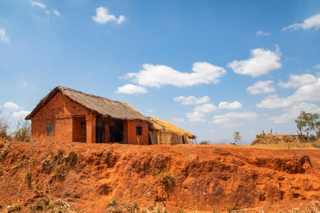 Antsirabe area, Madagascar. 20 October 2023. Madagascar roads. path from Antsirabe through small villages, houses along road, livestock, rice fields, daily life Malagasyのeditorial素材
