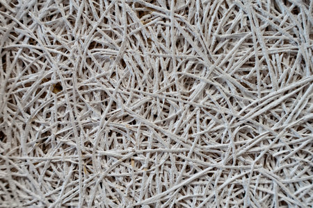 Close-up view of white fibers forming complex patterns, showing unique textures and visual depth for creative projects.の写真素材