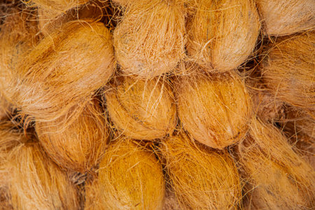 Heap of peeled brown coconut nucifera kept for sale. pile of half shelled coconuts ready for sale at...