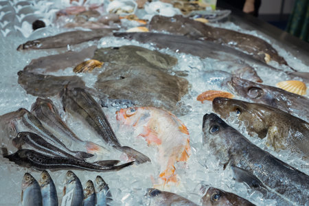 Fresh seafood assortment displayed on ice, featuring various fish and shellfish, showing vibrant colors and textures in a market setting.の写真素材