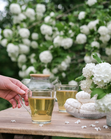 Summer picnic with tea and marshmallows in the summer garden. Tea drinking in the gardenの写真素材