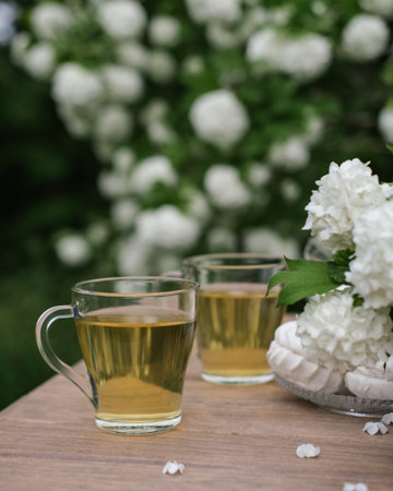 Summer picnic with tea and marshmallows in the summer garden. Tea drinking in the gardenの写真素材