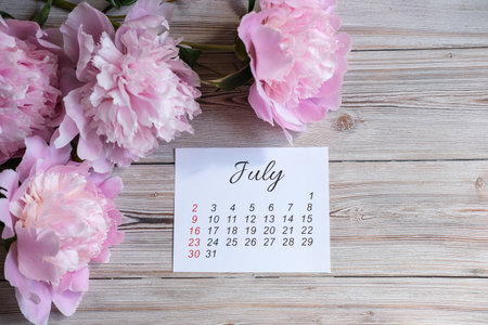 July calendar and a bouquet of peoniesの写真素材