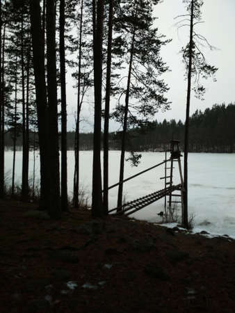Beautiful winter landscape with snow and trees, old wooden structure and grass and forest in the distance.の写真素材