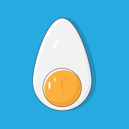 Boiled egg isolated on blue background. Vector illustration.のイラスト素材