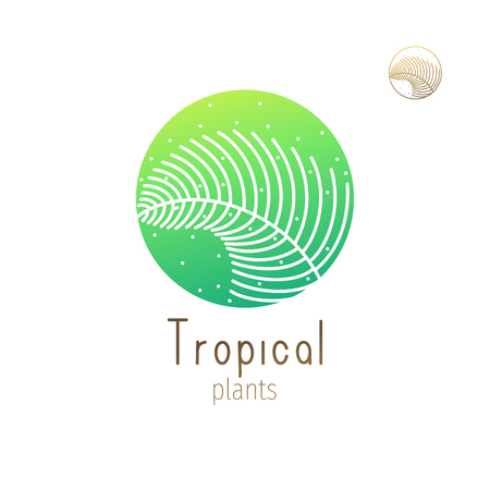 Tropical floral herb icon Vector illustration.のイラスト素材