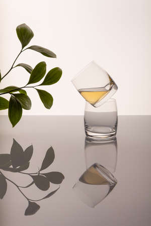 green tea kombucha in a glass with plants on acrylic glassの写真素材
