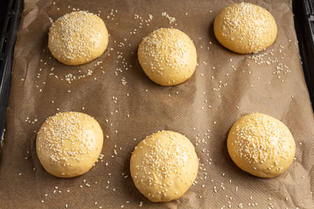 Preparing burger buns, making burgers. Home cookingの写真素材