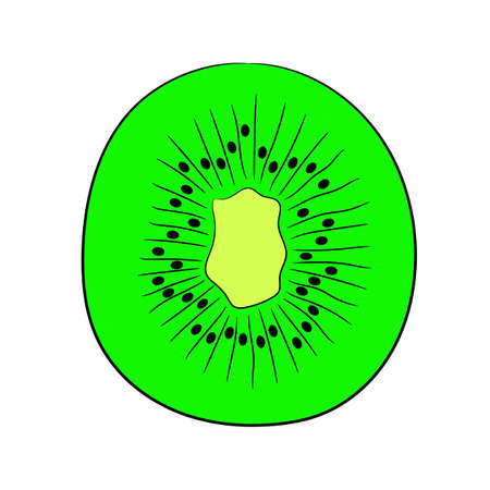 sliced kiwi fruit halves on white background of vector illustrationsのイラスト素材