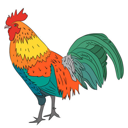 Rooster symbol of 2017 on white background of vector illustrationsのイラスト素材