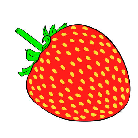 strawberry on white background of vector illustrationsのイラスト素材