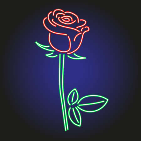 Rose neon glowing on dark background of vector illustrationのイラスト素材