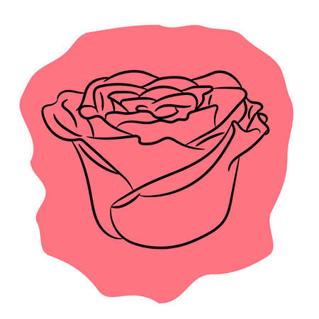 Bud flower rose from the contour black lines of vector illustrationのイラスト素材