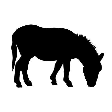 Black silhouette of donkey on white background of vector illustrationのイラスト素材