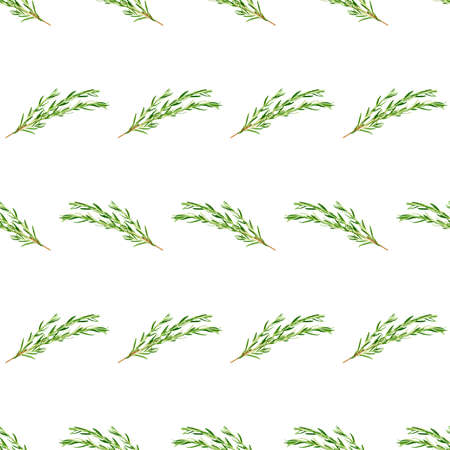 Seamless pattern from rosemary twig isolated on white backgroundの写真素材