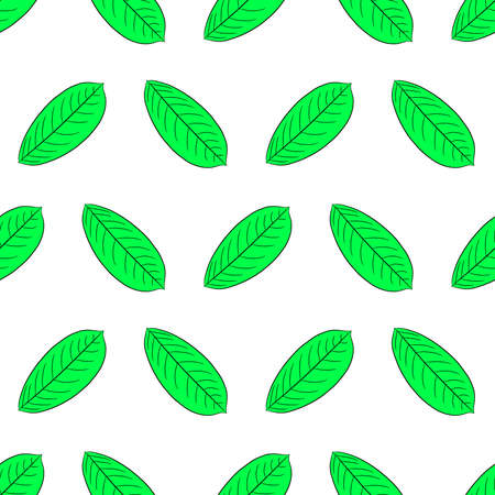 Seamless pattern from green leaf of plant from the contour black brush lines on white of vector illustrationのイラスト素材