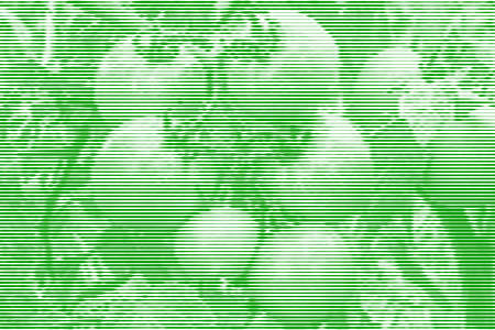 Image collage of tomatoes on a branch from horizontal lines and paths of variable thickness color...