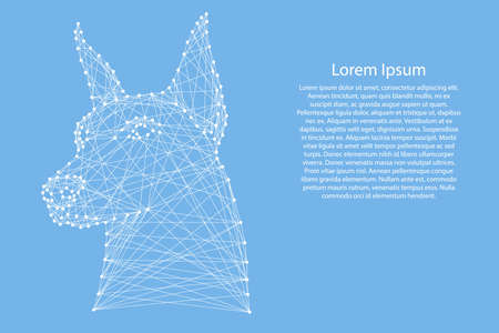 Doberman dog head from abstract futuristic polygonal white lines and dots on blue background for banner, poster, greeting card. Vector illustration.のイラスト素材