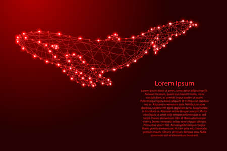 Whale swimming under water from futuristic polygonal red lines and glowing stars for banner, poster, greeting card. Vector illustration.のイラスト素材