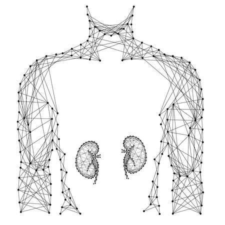 Man torso kidney organ inside medicine health urology system from abstract futuristic polygonal...
