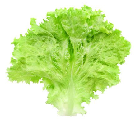 Lettuce leaf one view top isolated on white background.